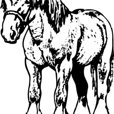 HORSE035 Thumbnail