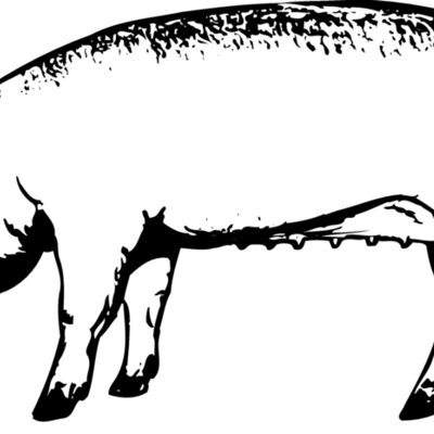 SOW0001 Thumbnail