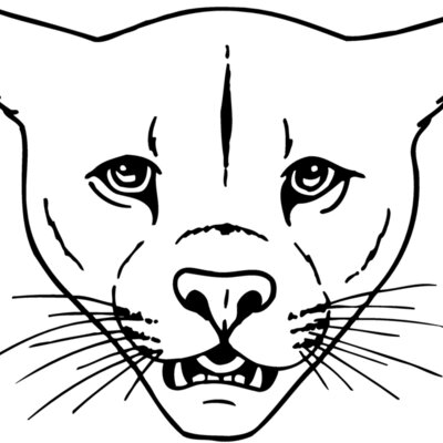 CAT16 Thumbnail