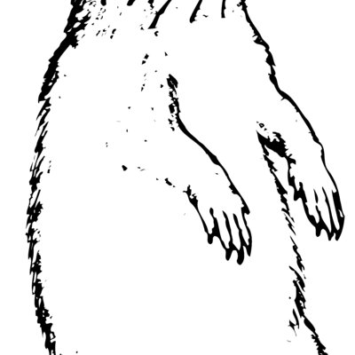 GOPHER01 Thumbnail