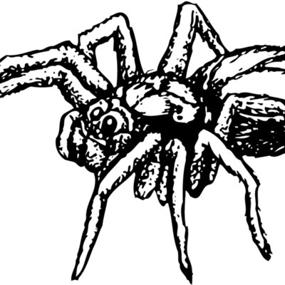 SPIDER04 Thumbnail