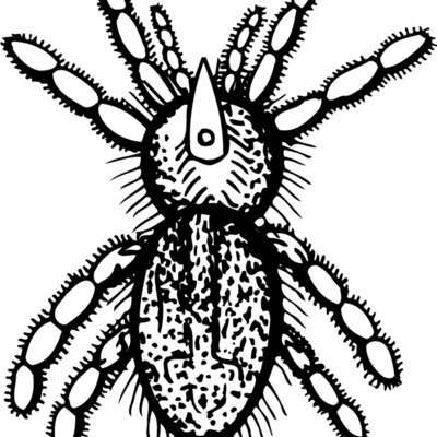 SPIDER05 Thumbnail