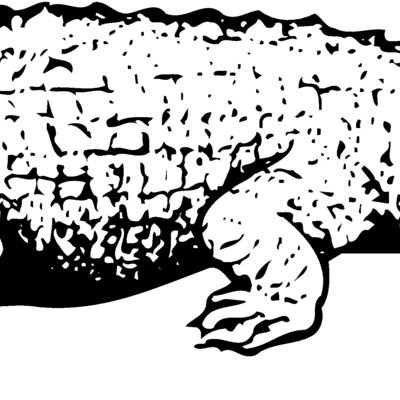 CROC03 Thumbnail