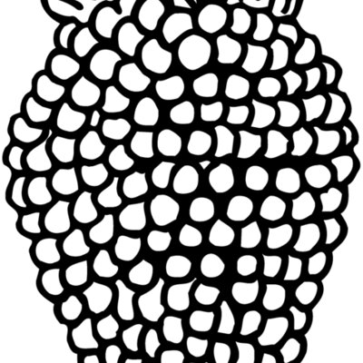FRUIT003 Thumbnail