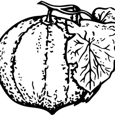 FRUIT007 Thumbnail