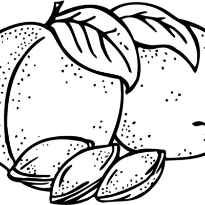 FRUIT025 Thumbnail