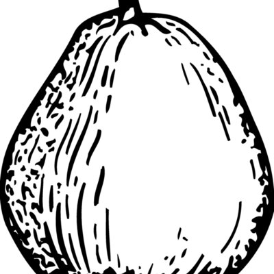 FRUIT026 Thumbnail