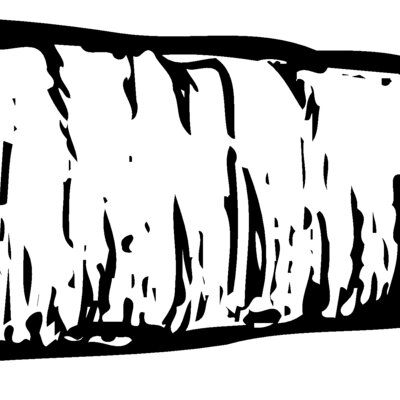 VEG010 Thumbnail