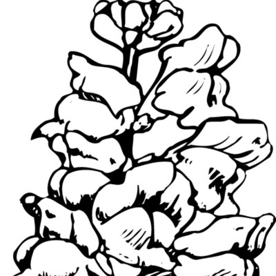 FLOWER14 Thumbnail