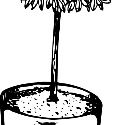 PLANT01 Thumbnail