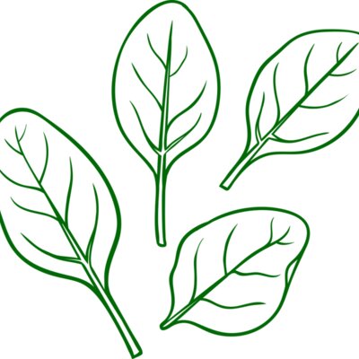 Spinach Thumbnail