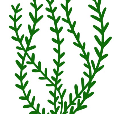 Sea Plants 3 Thumbnail