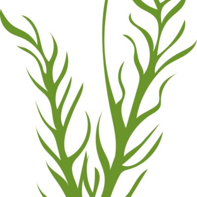 Leaves 8 Thumbnail