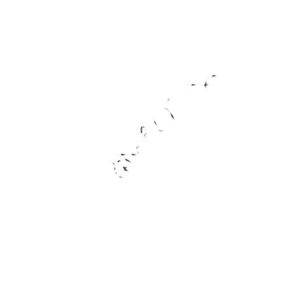 The Cat Thumbnail