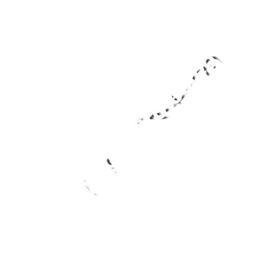taurus Thumbnail