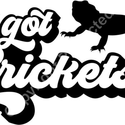Bearded Dragon  got crickets Thumbnail
