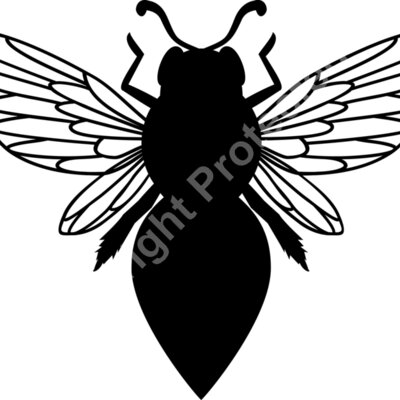 bee Thumbnail