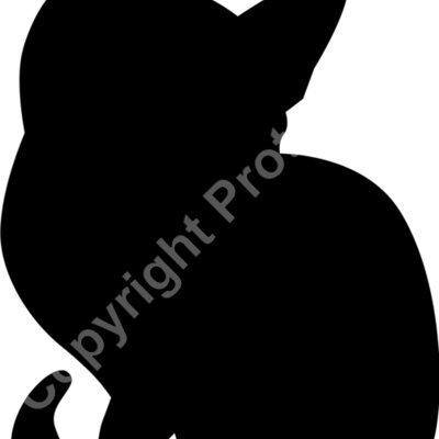 cat 5 Thumbnail