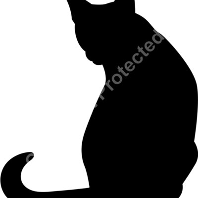 cat 6 Thumbnail
