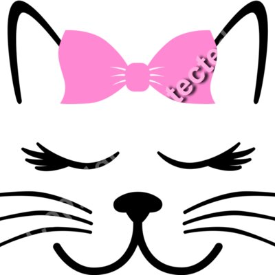 cat8 Thumbnail