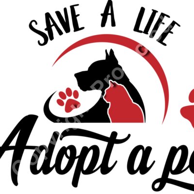 Adopt a pet Thumbnail