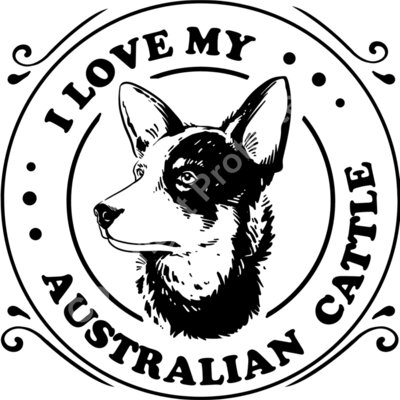 Australian Cattle dog Thumbnail
