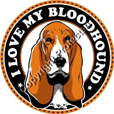 Bloodhound love Thumbnail