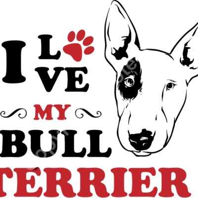 Bull terrier Thumbnail