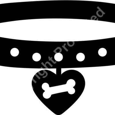 collar 2 Thumbnail