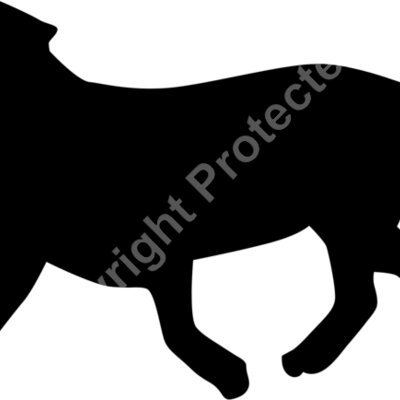 dog 1 Thumbnail