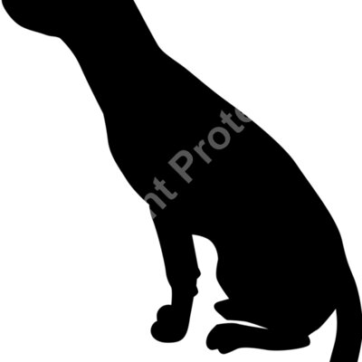 dog 2 Thumbnail
