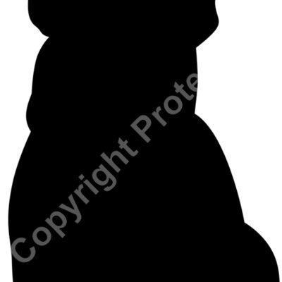 dog 4 Thumbnail