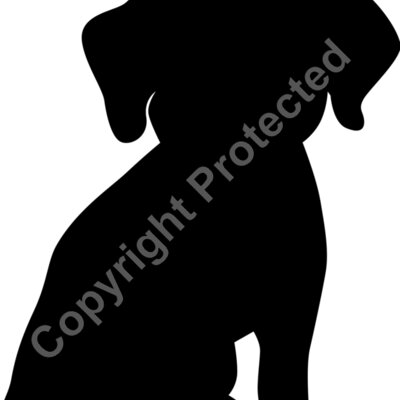 dog 5 Thumbnail
