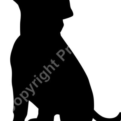 dog 6 Thumbnail