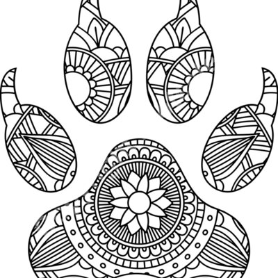 dog paw nails Thumbnail