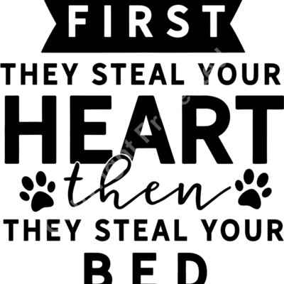 First they steal your heart then they steal your bed Thumbnail