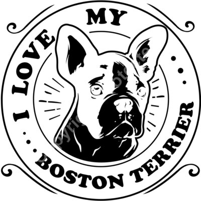 I love my Boston Terrier   for dark colors Thumbnail