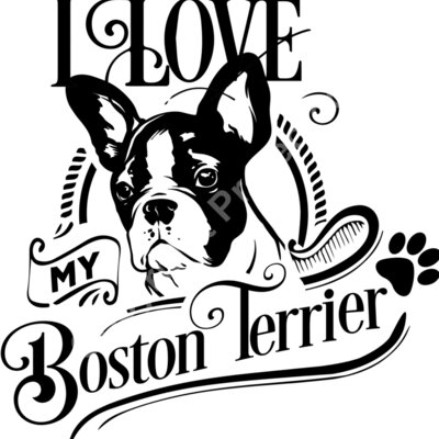 I love my boston Terrier new b Thumbnail