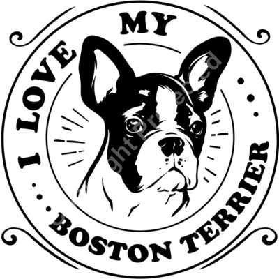I love my Boston Terrier Thumbnail