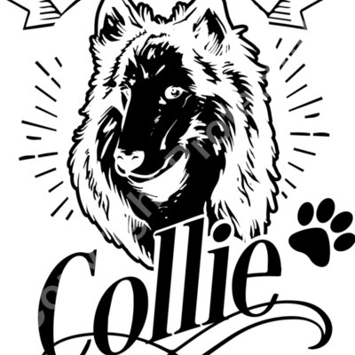 I love my Collie   for black colors Thumbnail