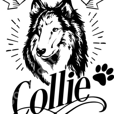 I love my Collie Thumbnail
