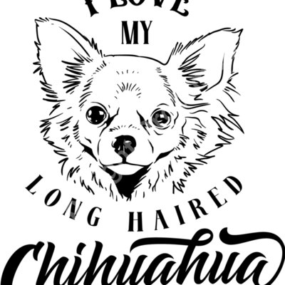 I love my long haired chihuahua Thumbnail