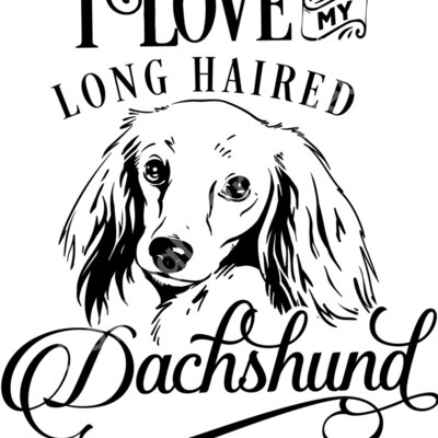 I love my long haired Dachshund Thumbnail