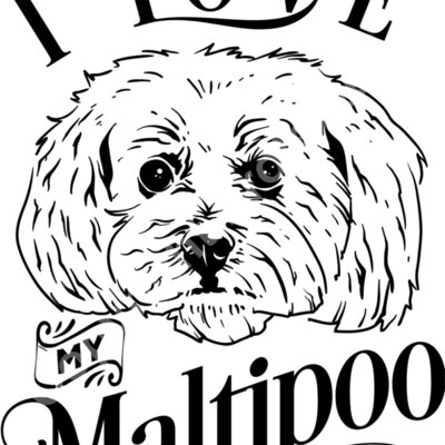I love my Maltipoo Thumbnail