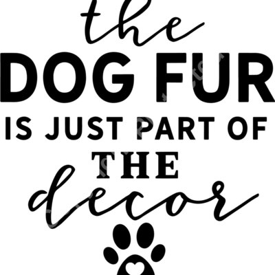 The dog fur is just part of the decor Thumbnail