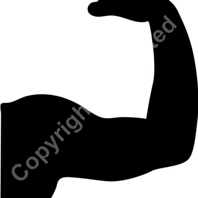 muscle2 Thumbnail