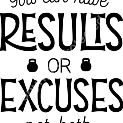 YouCanHaveResultsOrExcuses Thumbnail