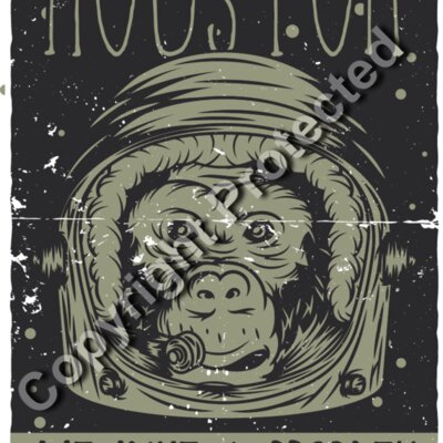 monkey2 set 10 Thumbnail