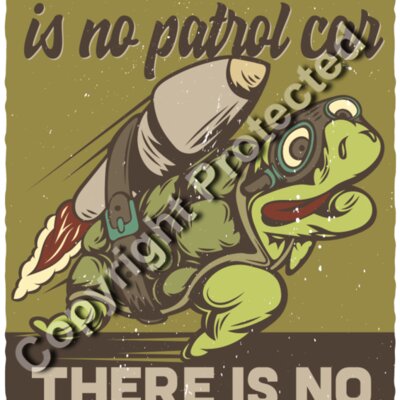 Turtle 3 Thumbnail