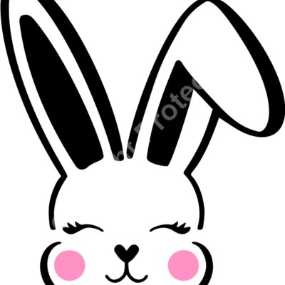 Bunny face 4 Thumbnail